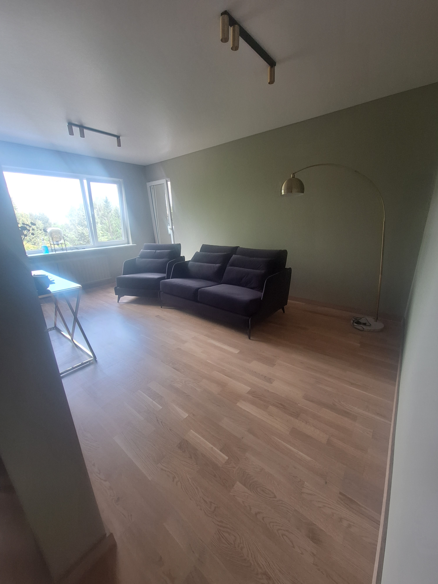 Svetainės renovacija